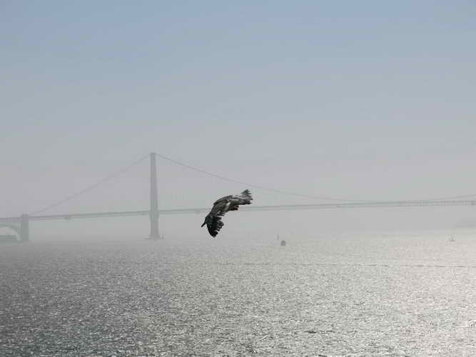 USA_2013-07-04 16-48-47_IMG_0771